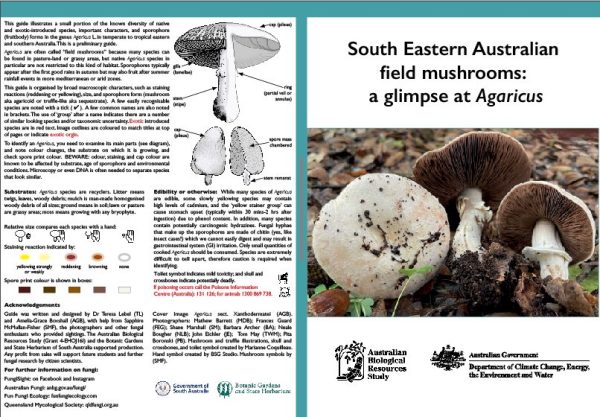 Bundle - South Eastern Australian field mushrooms